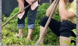 吃瓜群众在线爆料免费观看 娱乐八卦视频哪里看,吃瓜群众在线爆料平台大揭秘