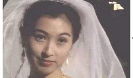 演艺圈明星系列长篇,演艺圈明星系列长篇全景扫描